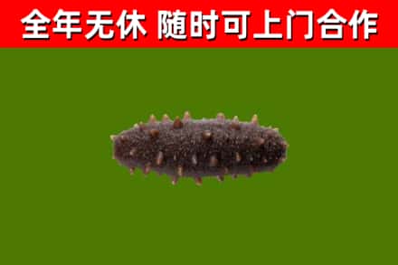 海北州回收海参干
