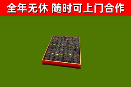 海北州回收海参